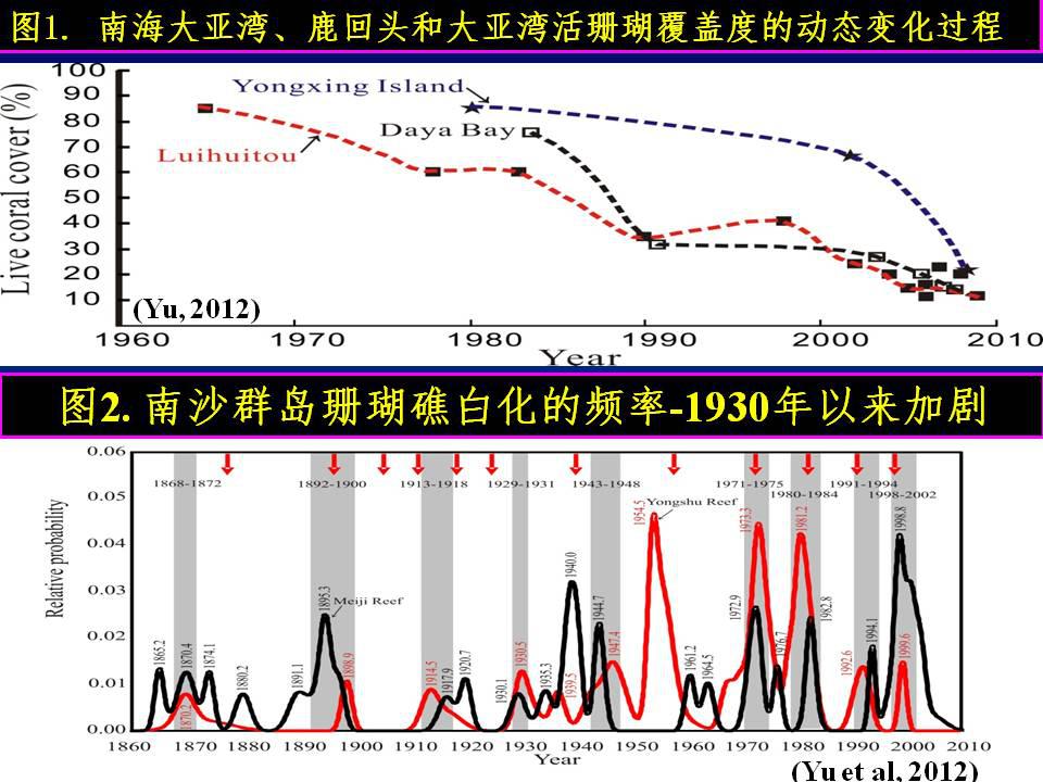 《Coral Reefs》再报道南海所珊瑚礁现代过程研究成果