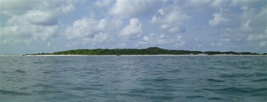 陈天然等-GRL: 珊瑚沙岛沉积年代地层学研究取得新进展
