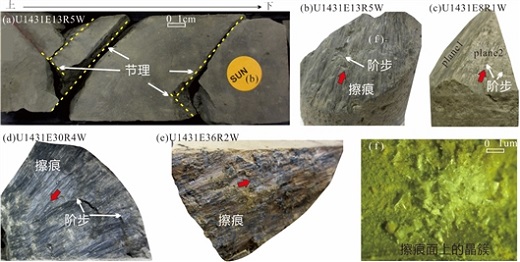 孙珍等-JGR: 微观构造分析揭示南海海盆最新扩张历史