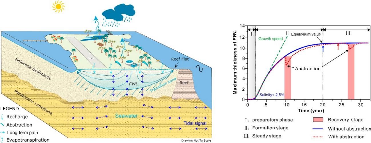 盛冲/许鹤华 等-Journal of Hydrology：岛礁地下淡水透镜体的形成与演化过程研究取得新进展