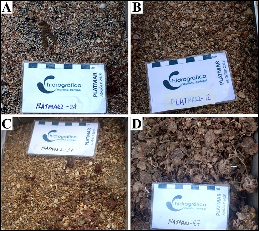  赵中伟 等-Sedimentology: 海岛陆架区碳酸盐沉积物的沉积动力学特征获揭示