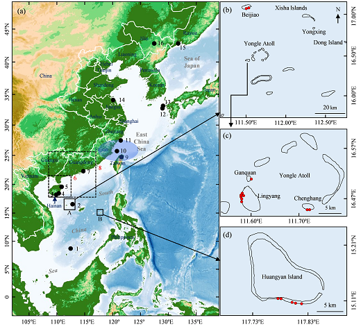 陶士臣 等-Paleoceanography and Paleoclimatology：