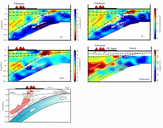 王志 林间-Tectonophysics：俯冲带板块熔融与岛弧岩浆活动成因机制获揭示