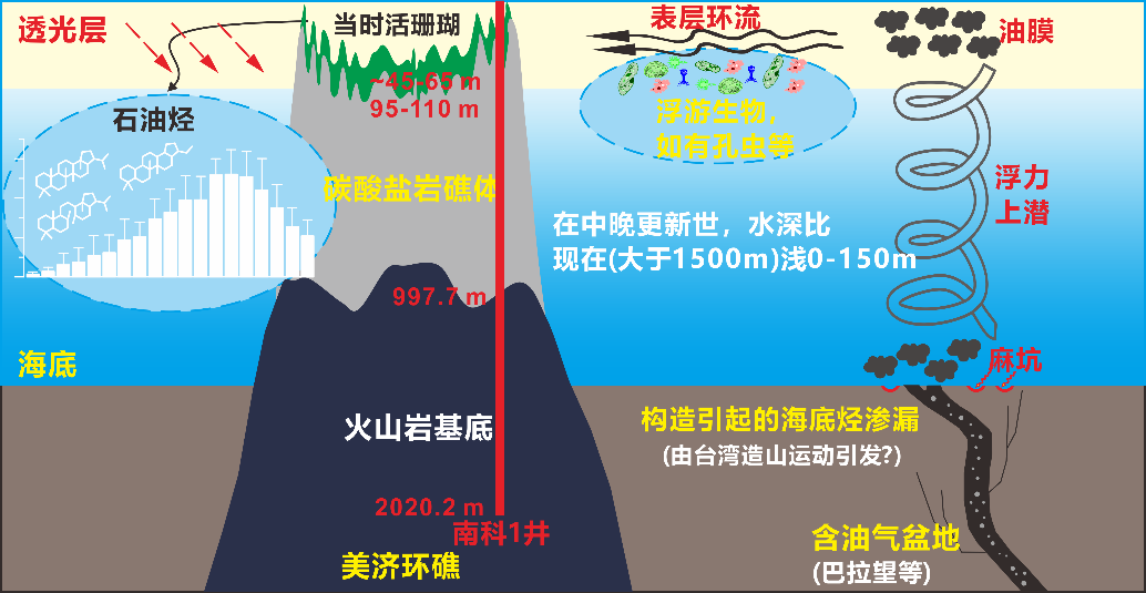 朱小畏 等-Chemical Geology：南科1＃生物标志物研究取得新进展